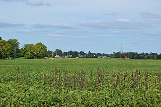 <span class="mw-page-title-main">Congress Township, Morrow County, Ohio</span> Township in Ohio, United States