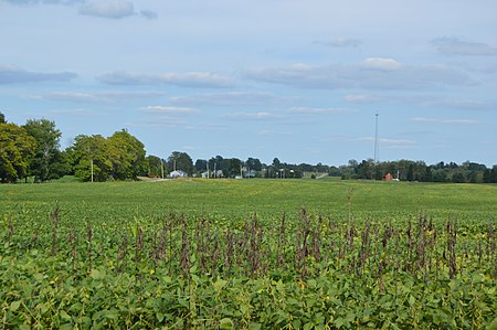 Congress Township soybean fields