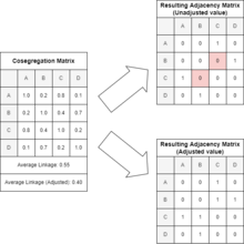 An example of conversion between cosegregation and linkage matrices. Note the red highlighted cells, illustrating edges that may be missed if the mean cosegregation is not normalized. Cosegregation to adjacency 2.png