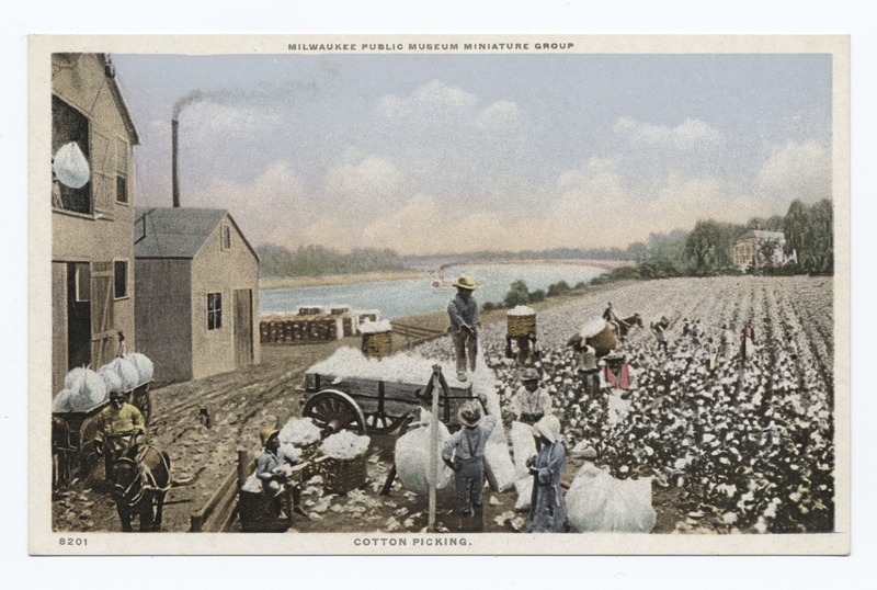 File:Cotton Picking, Milwaukee Public Museum Miniature Group, Milwaukee, Wisc (NYPL b12647398-74637).tiff