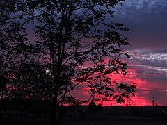 Crepúsculo vespertino en rosados (8081417487).jpg