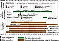 Línea de tiempo con las distintas hipótesis sobre la fecha de nacimiento y de muerte de Jenófanes. Aparece en es:Jenófanes