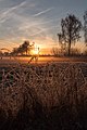 * Nomination Pasture at Strandbadweg, Dülmen, North Rhine-Westphalia, Germany --XRay 04:29, 12 December 2016 (UTC) * Promotion Good quality.--Famberhorst 05:53, 12 December 2016 (UTC)