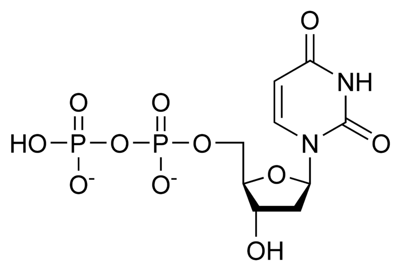 File:DUDP chemical structure.png
