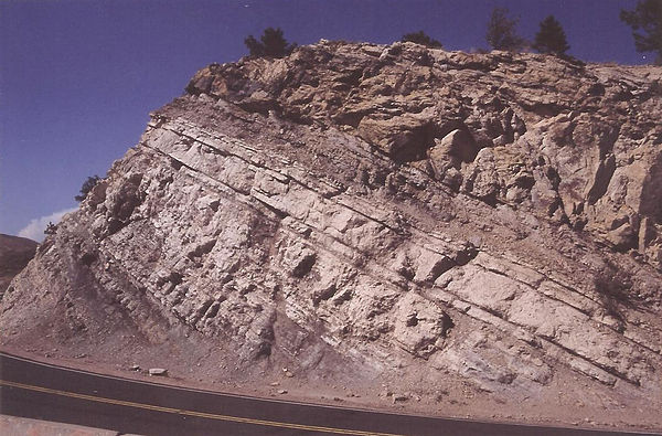 Road cut into the lower Dakota Group at crest of Dinosaur Ridge, near Golden, Colorado