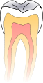Dentistry logo.svg