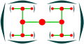 複合聚繖花序（上視圖）