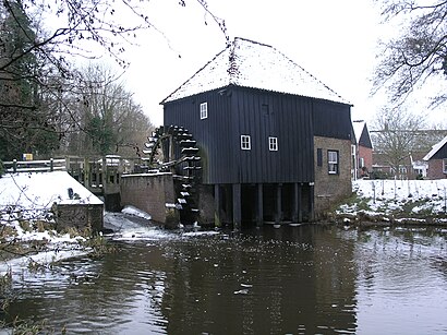 Hoe gaan naar Den Haller met het openbaar vervoer - Over de plek