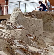 Hunting bones Digger, and bones, Mammoth Site, Hot Springs.jpg