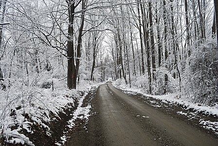 A rural dirt road the day after the first snowfall of the season in Dutchess County, New York, USA