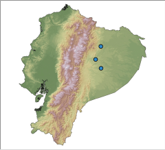 Os pontos em azul indicam onde a espécie foi encontrada dentro do território equatoriano.