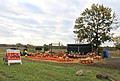 Donahee Farms U-Pick Pumpkin Stand, ~9290 North Territorial Road, Salem Township, Michigan - panoramio.jpg