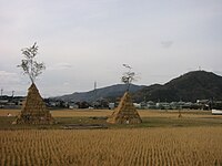 田の神: 農耕神をまつる習俗, 山の神信仰や他神との結びつき, 田の神の祭り