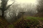 Thumbnail for File:Dorsetshire Gap on a Foggy Afternoon - geograph.org.uk - 6057863.jpg