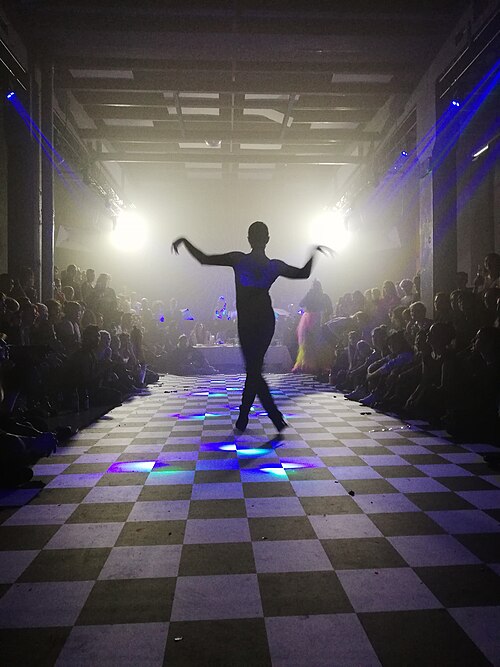 Contestant walking towards the judges at a ball in Berlin in 2018