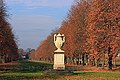 November 2019 Herbststimmung im Großen Garten (Christoph Freitag)