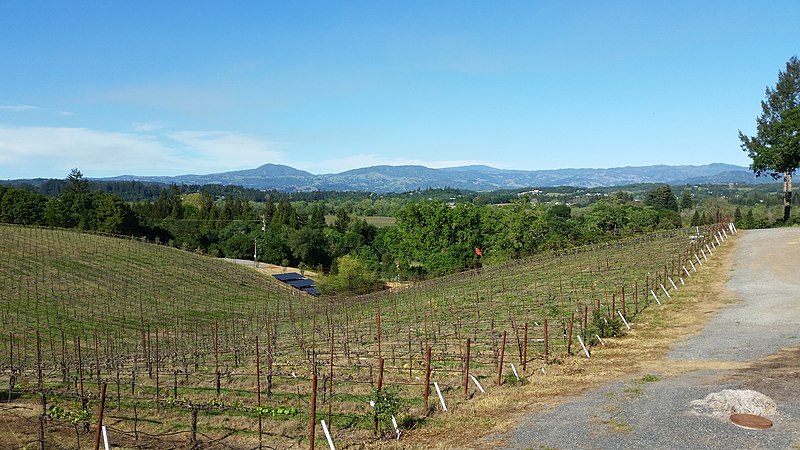 File:Dry Creek Valley.jpeg