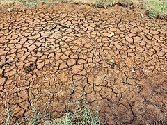 Dry land (cracked) 5.jpg