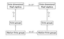 Duality for finite groups. Duality-for-finite-groups.jpg