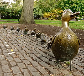 <i>Make Way for Ducklings</i> (sculpture) Sculpture by Nancy Schön