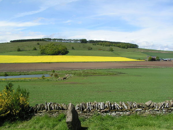 Dunnichen Moss. The body of water to the left is a modern pond