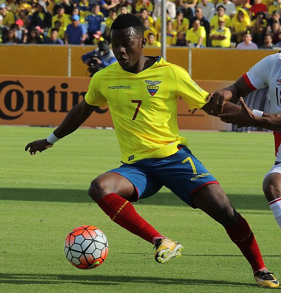 File:ECUADOR VS PERU - RUSIA 2018 (36882672982) - Juan Cazares.jpg