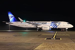Egypt Air: Geschichte, Flugziele, Flotte