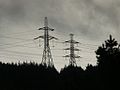 Electricity transmission lines in New Zealand.jpg
