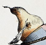 Enigme Grandville (detail) .jpg