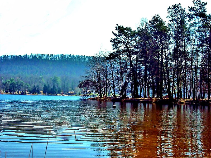 File:Etang de Hanau. (3).jpg