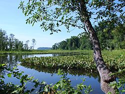 Featherstone National Wildlife Refuge (4832451521).jpg