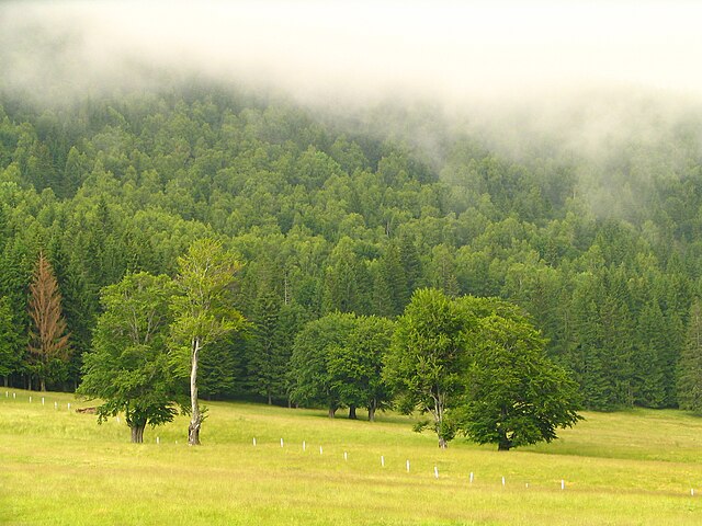 Landscape around Lake Sfânta Ana, southern Harghita County