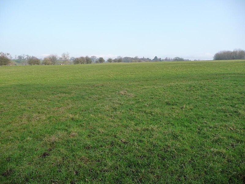 File:Field above the west bank of the River Eden - geograph.org.uk - 5297713.jpg