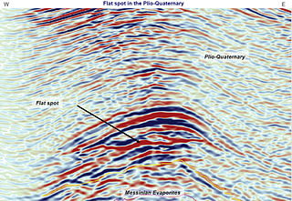 <span class="mw-page-title-main">Flat spot (reflection seismology)</span>