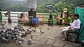 File:Folkdance and Folk Rituals at Tal Birahi Temple at Pokhra Nepal 45.jpg