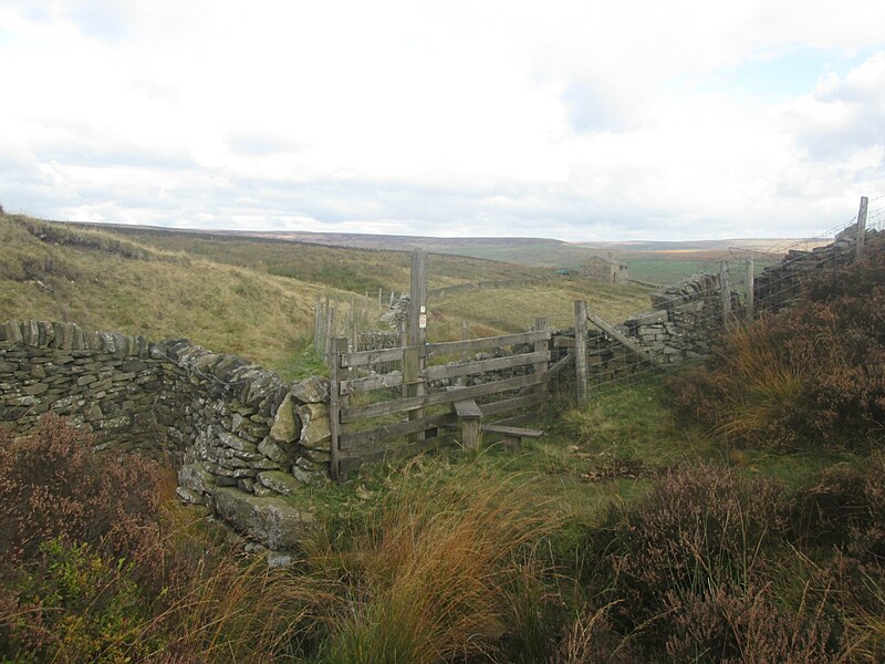 File:Footpath towards Clough Head - geograph.org.uk - 4706573.jpg