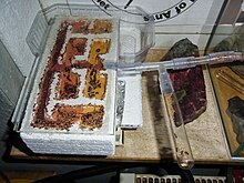 Formicarium with multiple connected sections Formica cunicularia.jpg