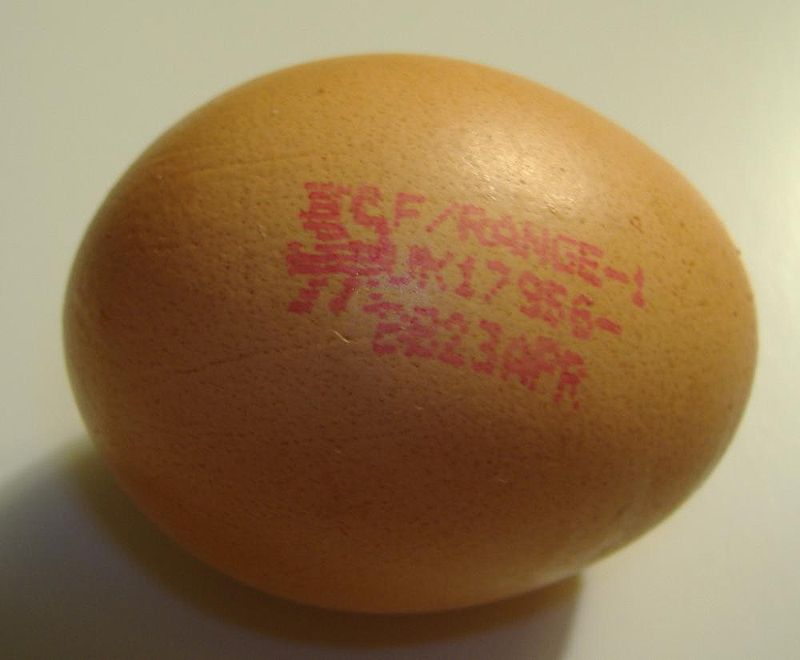 Egg Stamps for Cute Egg Stamps Egg Stamps for Fresh Eggs