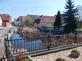 Pond in Freiroda