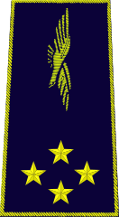 Insignia of a général de corps aérien in the French Air and Space Force
