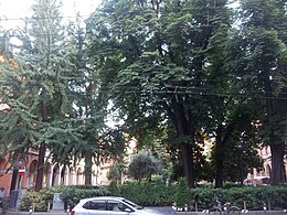 Gardens of piazza Cavour, Bologna.jpg