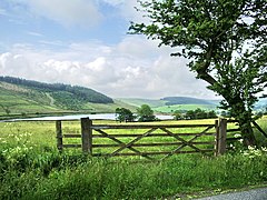 Gate - geograph.org.uk - 476329.jpg