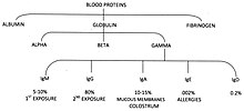 This shows the levels of albumin and the different immunoglobulins Globulin Fractions.jpg