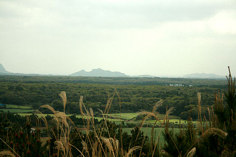 Jeju Province