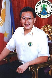 2010 Laguna local elections