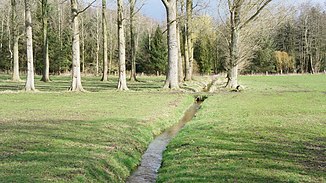 The Grünbach on the Wunderburger Weg