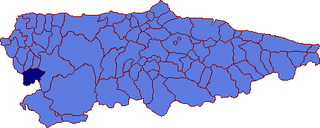 <span class="mw-page-title-main">Grandas de Salime</span> Municipality in Asturias, Spain