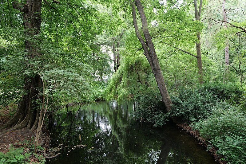 File:Großer Tiergarten Berlin 2021-06-29 01.jpg