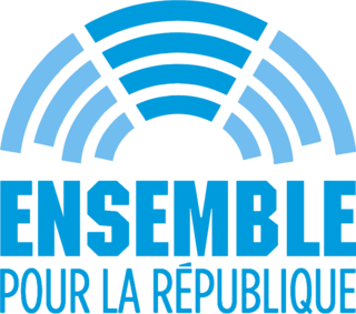 <span class="mw-page-title-main">Together for the Republic group</span> Parliamentary group in France