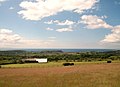 Hay meadows at Gwernddwyryd - geograph.org.uk - 1914485.jpg